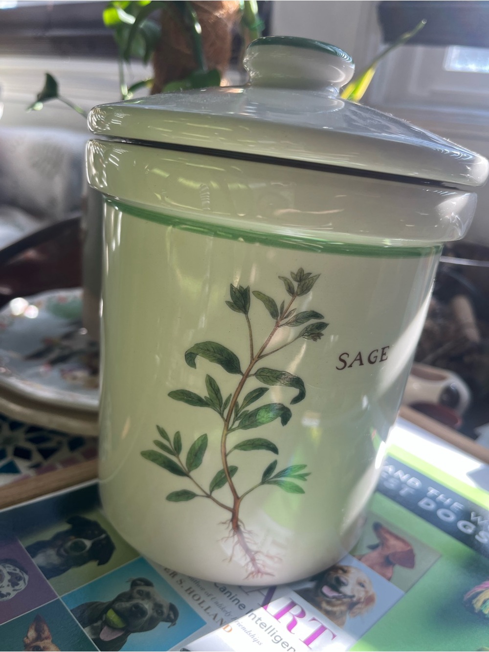 Williams-Sonoma Ceramic Canister Basil 8" tall x 7" Portugal Culinary Herbs +Lid